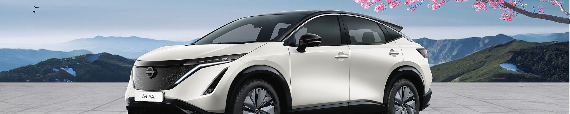 Nissan ARIYA Frühlingsangebot