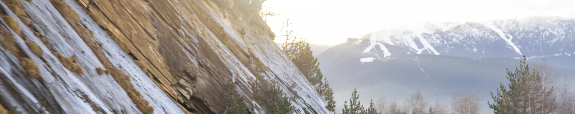 Nissan Ariya mit ProPilot Assistent erhält Euro NCAP-Bestnote